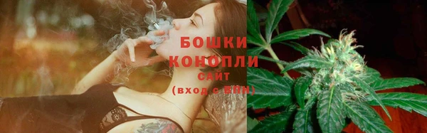 мяу мяу мука Абаза