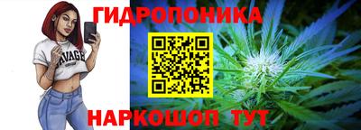 прущие крисы Лесосибирск