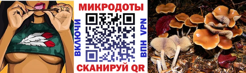 Галлюциногенные грибы ЛСД  где продают   Гагарин 