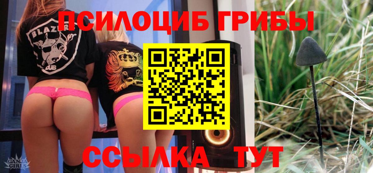 Псилоцибиновые грибы Psilocybe Гагарин
