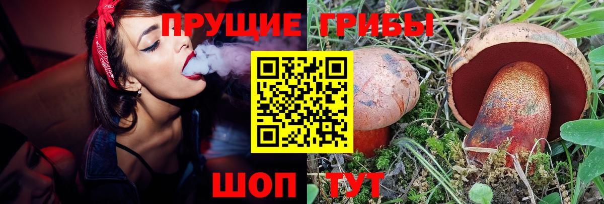 Гагарин  Псилоцибиновые грибы Psilocybe  Вход с VPN 